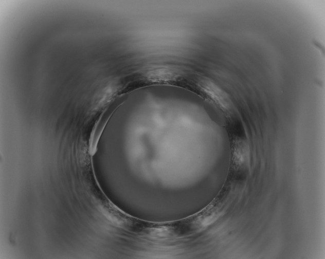 X0000096480411200801311600