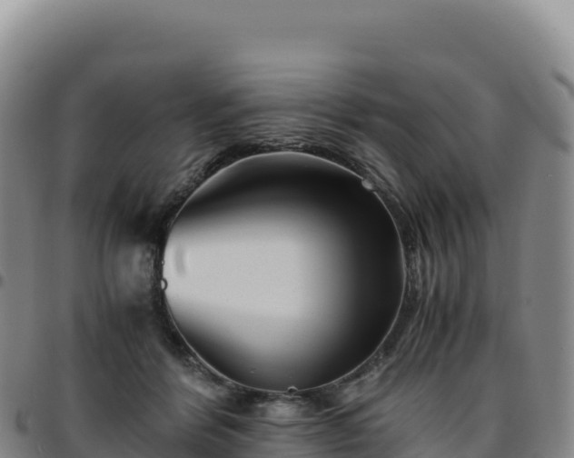 X0000096480412200801311600