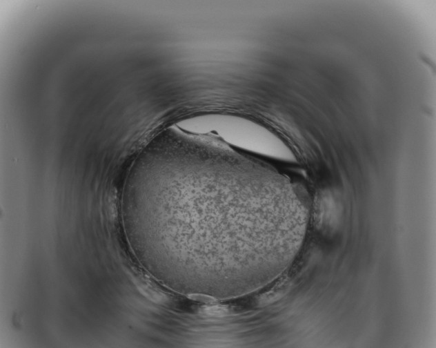 X0000096480413200801311600