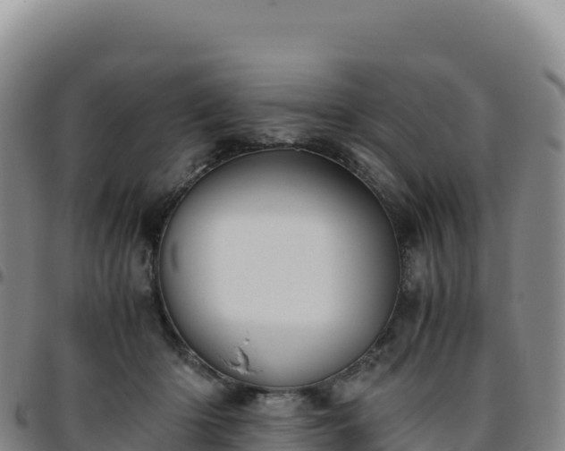 X0000096480414200801311600