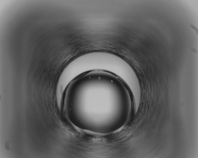 X0000096480415200801311600