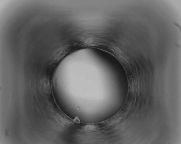 X0000096480418200801311600