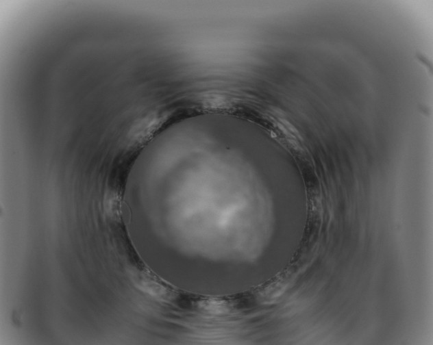 X0000096480419200801311600