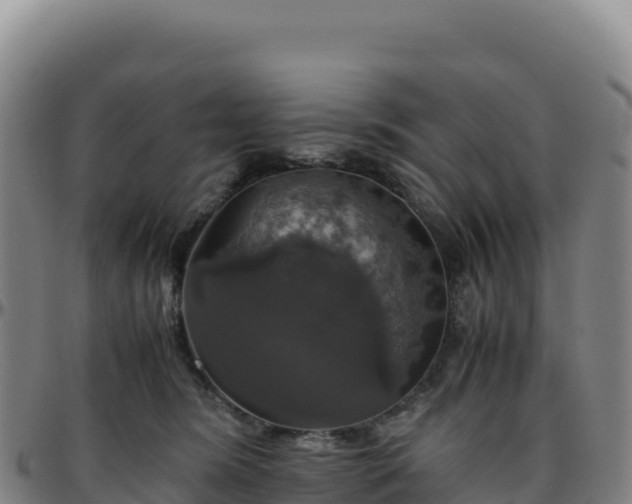 X0000096480420200801311600