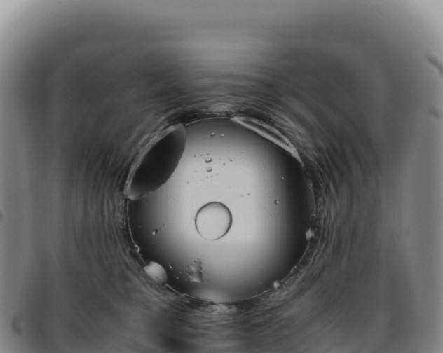 X0000096480421200801311600