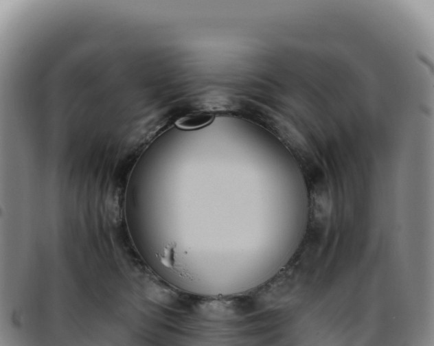 X0000096480422200801311600