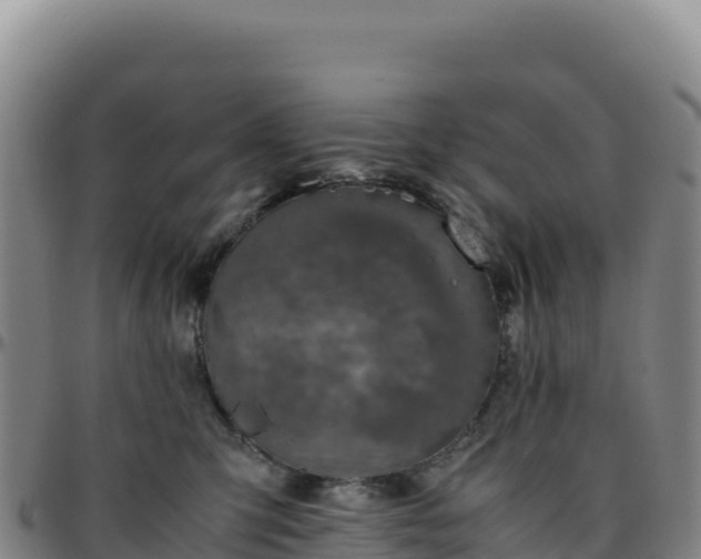 X0000096480423200801311600