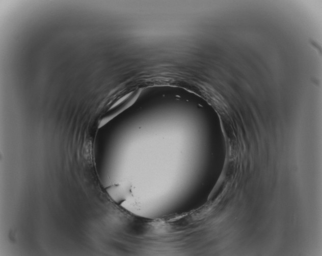 X0000096480425200801311600