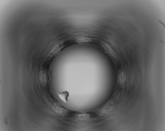 X0000096480426200801311600