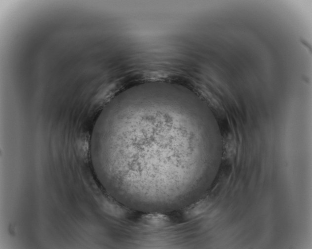 X0000096480427200801311600