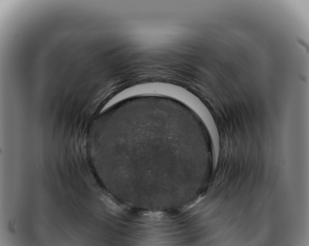 X0000096480428200801311600