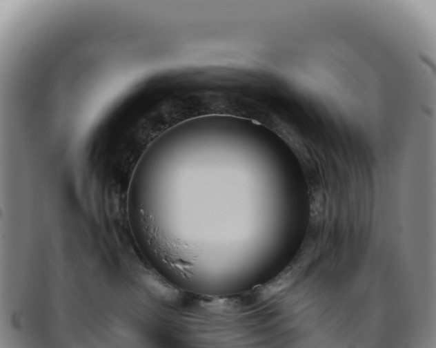 X0000096480430200801311600