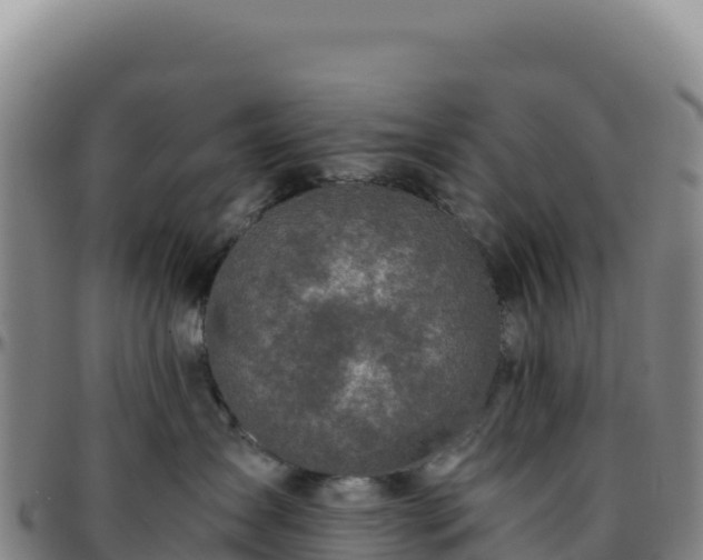 X0000096480431200801311600