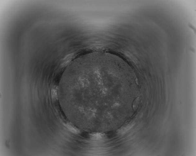 X0000096480432200801311600