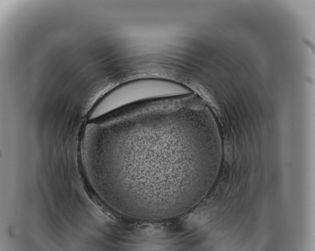 X0000096480434200801311559