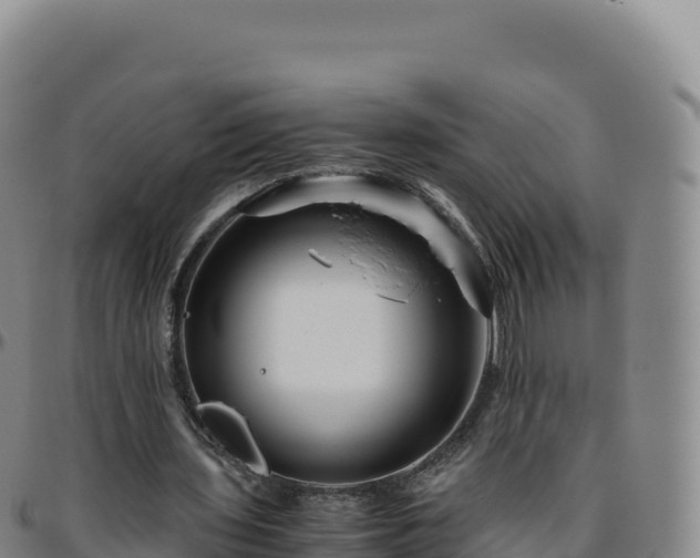 X0000096480435200801311559