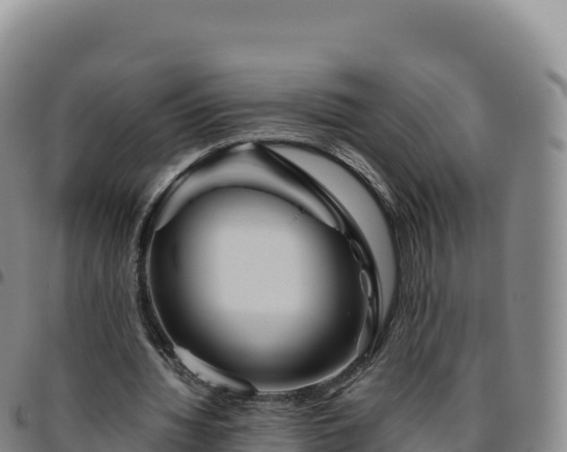 X0000096480436200801311559