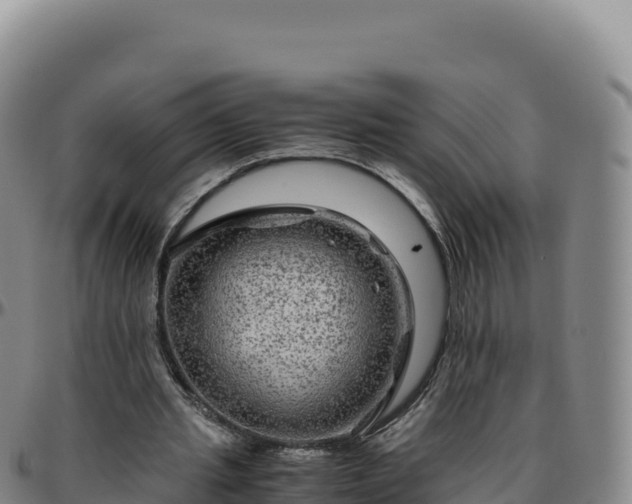 X0000096480437200801311559