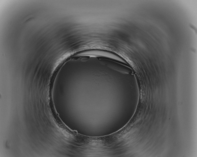 X0000096480438200801311559