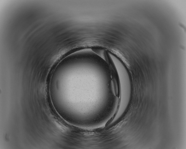 X0000096480439200801311559