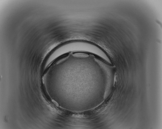 X0000096480440200801311559