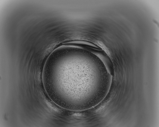 X0000096480441200801311559