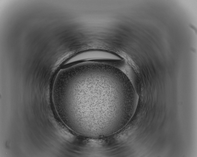 X0000096480442200801311559