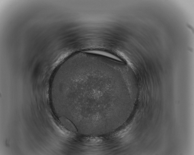 X0000096480443200801311559