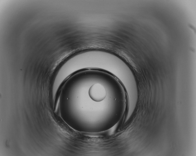 X0000096480444200801311559