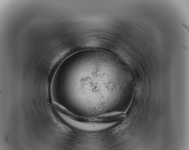 X0000096480446200801311559