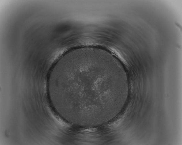 X0000096480447200801311559