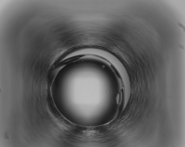 X0000096480448200801311559