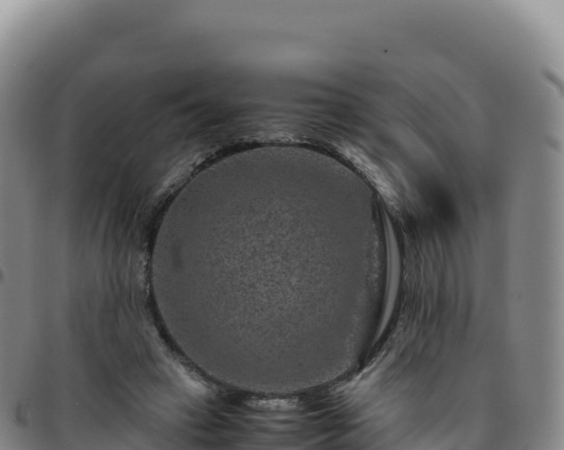 X0000096480449200801311559