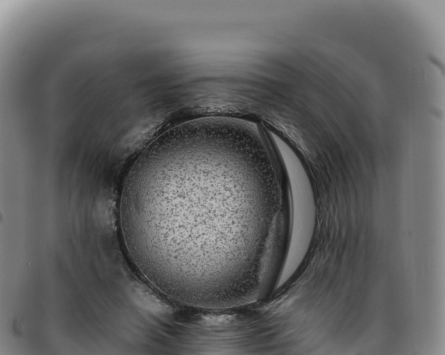 X0000096480450200801311559