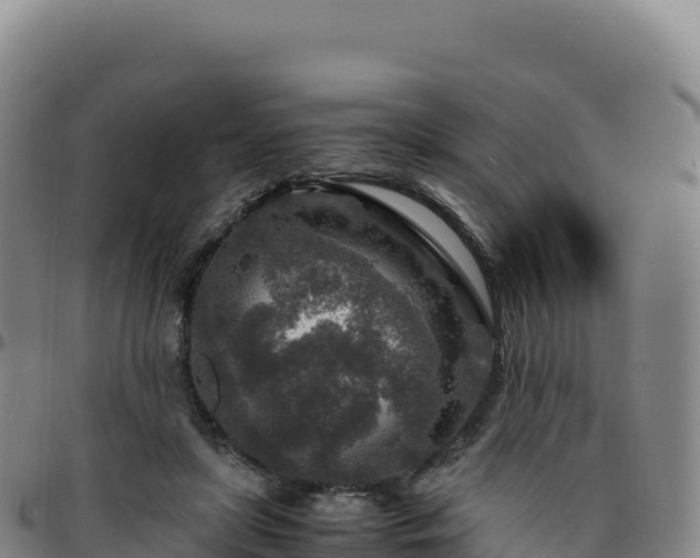 X0000096480451200801311559