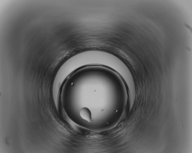 X0000096480452200801311559