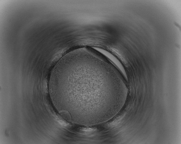 X0000096480453200801311559