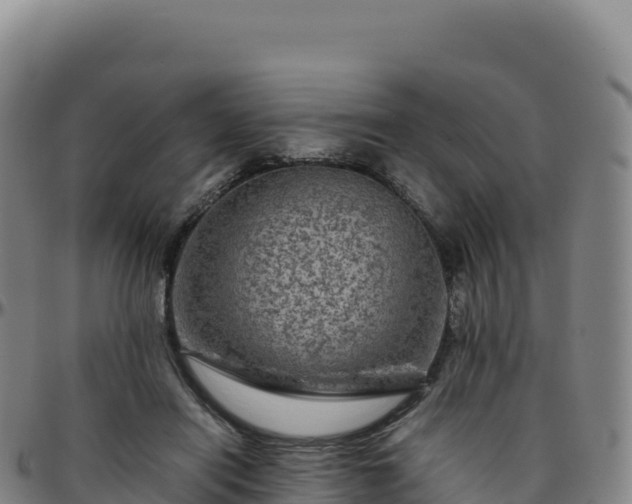 X0000096480454200801311600