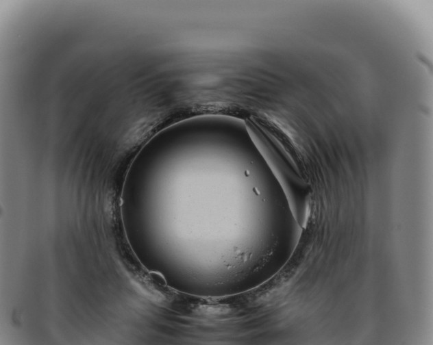 X0000096480455200801311600