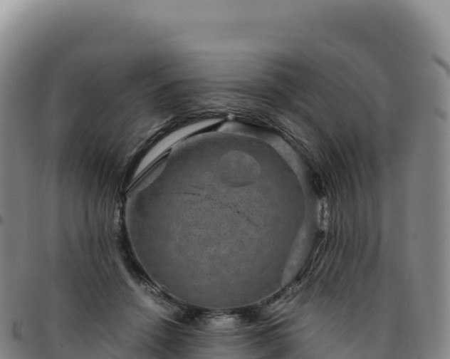 X0000096480456200801311600