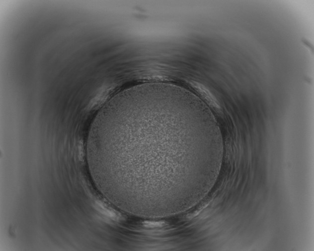 X0000096480457200801311600