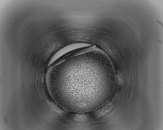 X0000096480458200801311600