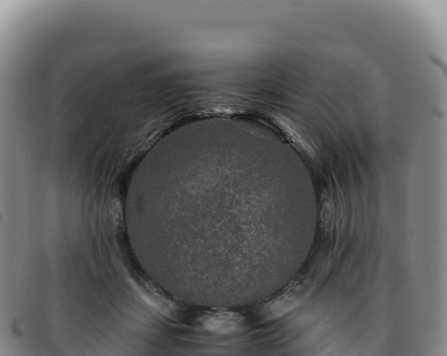 X0000096480459200801311600