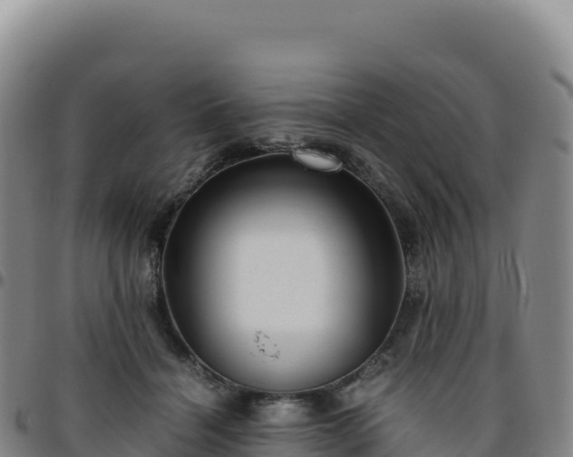 X0000096480460200801311600