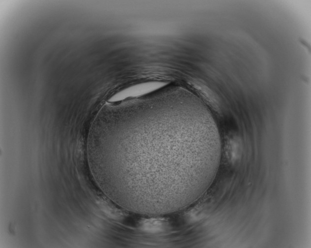 X0000096480461200801311600