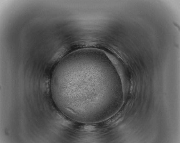 X0000096480462200801311600