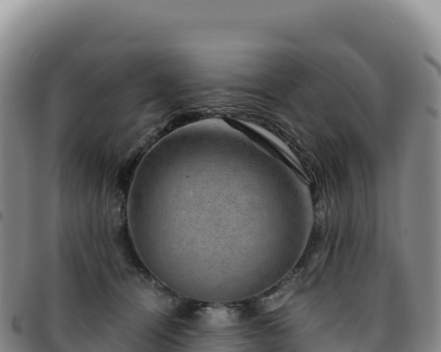 X0000096480464200801311600