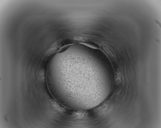 X0000096480466200801311600