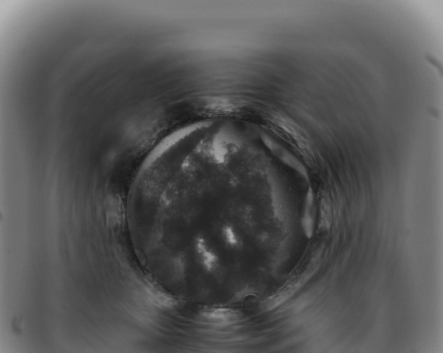 X0000096480467200801311600