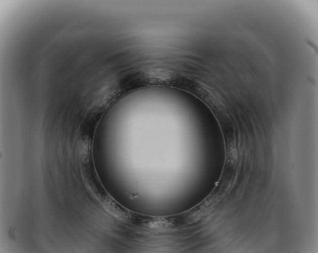 X0000096480468200801311600